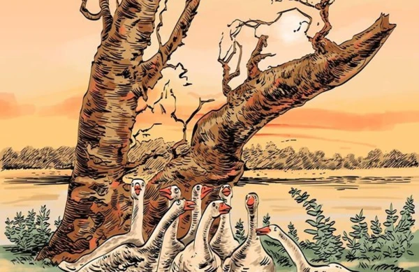 Fotoda  gizli heyvanı tapın - O, harada gizlənib?