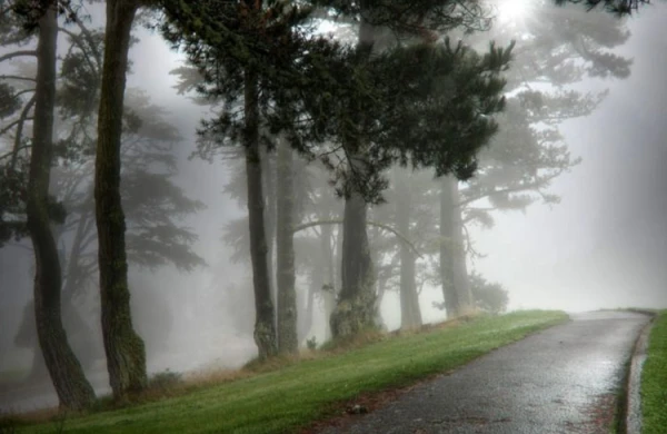 Havanın dəyişilməsi insanlara necə təsir edir?