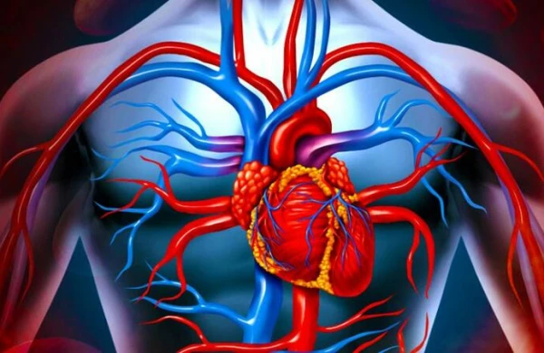 Ürək-damar xəstələri yay aylarında nələrə diqqət etməlidir? - Tanınmış kardioloqdan VACİB XƏBƏRDARLIQ