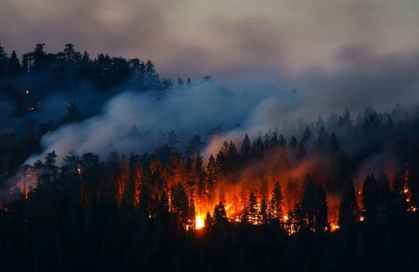 SON DƏQİQƏ: Bakıda güclü yanğın başladı, havaya HELİKOPTERLƏR QALDIRILDI