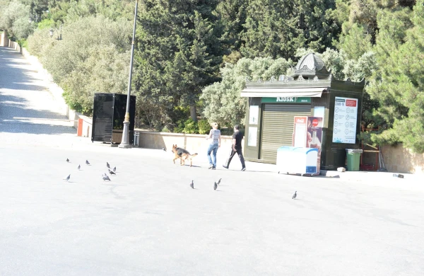 Bakı küçələri  boş  qalıb  - VİDEO