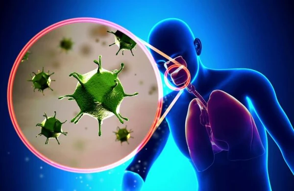 Pandemiya bu tarixdə bitəcək