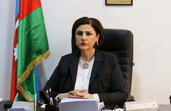 "Dilçilik İnstitutunun lüğətində danq-dunq, vıj-vıj kimi sözlər yer alıb"