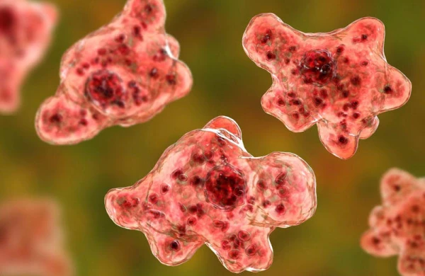 Koronavirus bitməmiş beyin yeyən parazit ortaya çıxdı