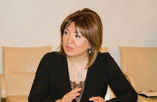 Aynur Camalqızı yeni nazirdən danışdı