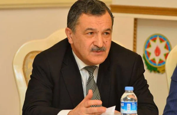 Deputat dəstək aksiyalarından danışdı: "Qürur hissi doğurur..."