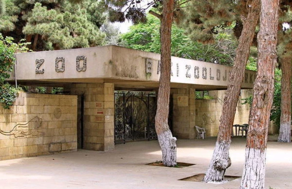 Bakı zooparkında təmir nə vaxt başa çatacaq? - AÇIQLAMA
