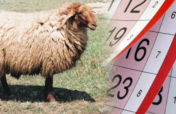 Bu il Qurban bayramı fərqli olacaq - RƏSMİ