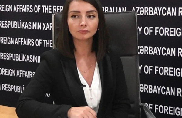 Leyla Abdullayeva: "ABŞ Dövlət Departamenti kimə və nəyə görə narahatdır, bunu başa düşə bilmirik"