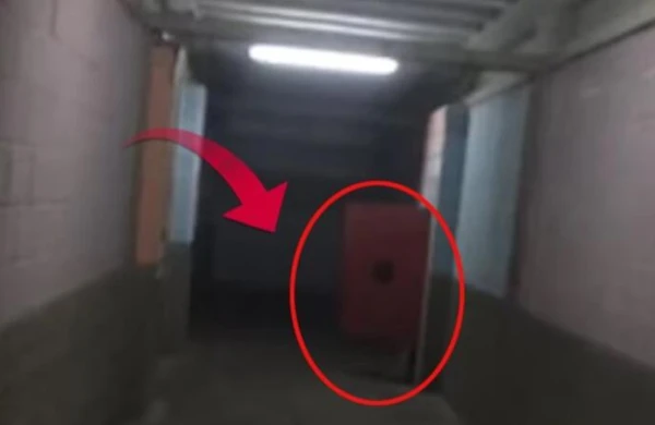 Morqa kamera qoydular   —  Qorxunc  görüntü  qeydə  alındı (18+VİDEO)