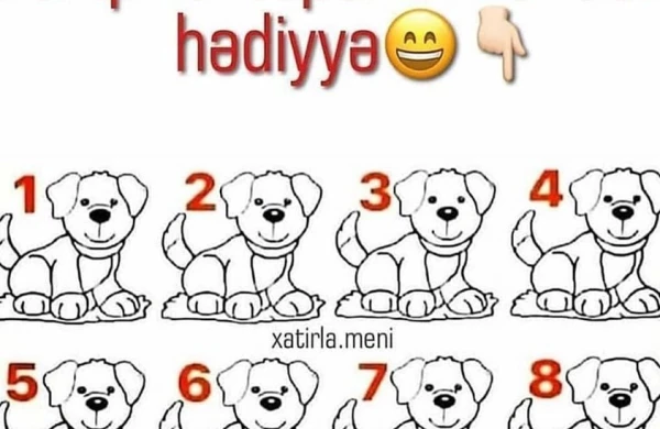Kim tapar?