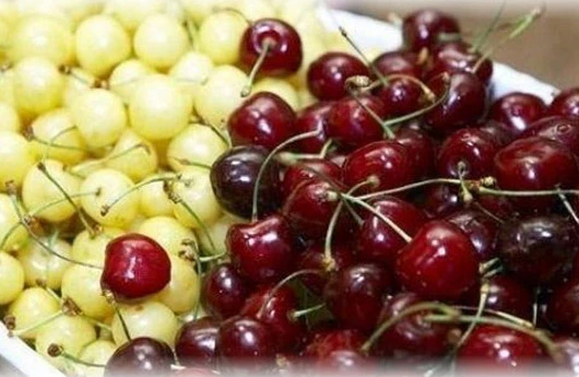 Hansı gilas daha faydalıdır - qırmızı yoxsa ağ?