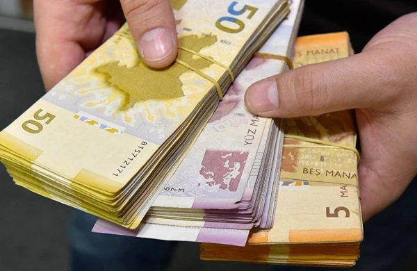 148 minə yaxın vergi ödəyicisi maliyyə dəstəyi üçün hökumətə müraciət edib