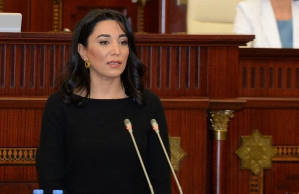 Ombudsman 17 yaşlı qızın qaçırılmasını nəzarətə götürdü