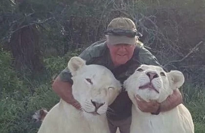 Şirlər bir neçə il əvvəl onları xilas etmiş kişini parçaladılar