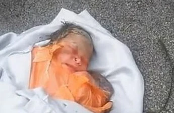 Küçənin ortasında kürəyinə paslı bıçaq saplanmış körpə tapıldı - FOTO