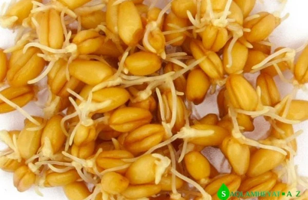 Xərçəngi sağaldan möhtəşəm təbii resept. Artıq 1000-lərlə xəstəni sağaldıb!