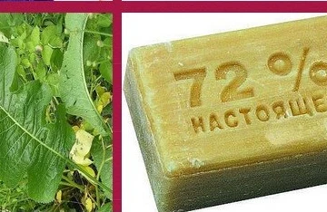 Dizləriniz ağrıyır? Bu sadə, çox ucuz vasitə ilə 1 gündə ən dəhşətli ağrılardan xilas olacaqsınız!100 % kömək edir!