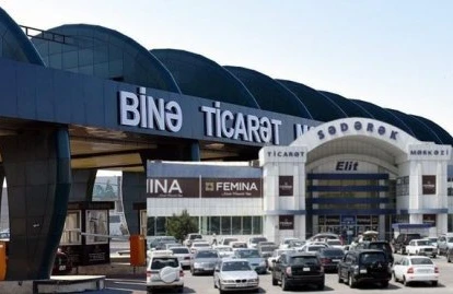 Bakıda göl daşdı, balıqlar ətrafa yayıldı&nbsp;