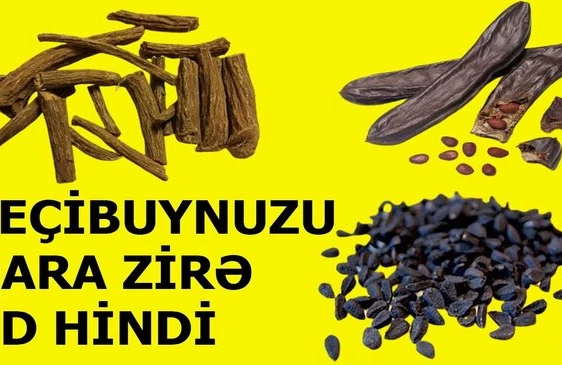 Məşhur həkimdən koronavirusla mübarizə üçün MÜKƏMMƏL RESEPT - VİDEO