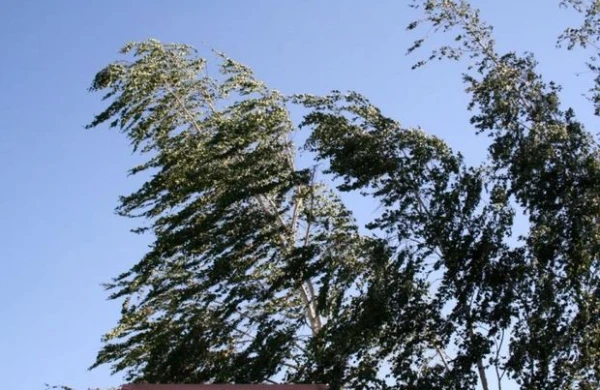 ETSN-dən ölkədəki faktiki hava şəraiti ilə bağlı AÇIQLAMA