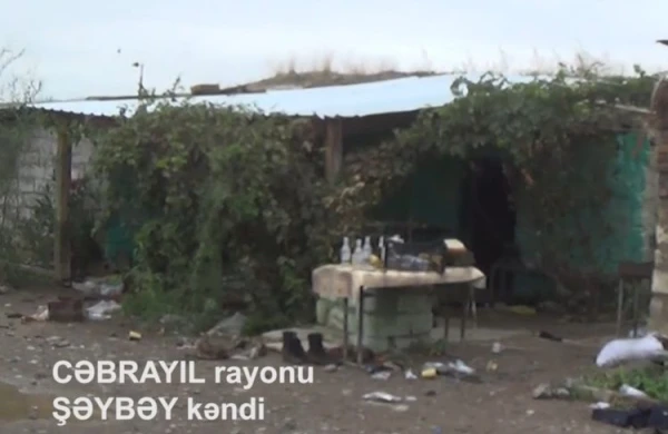 Шейбей наш! Первые кадры из освобожденного села ВИДЕО
