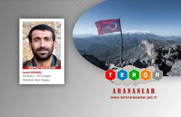 Türkiyədə daha bir PKK terrorçusu zərərsizləşdirildi