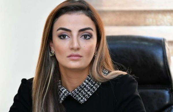 Cəzalandırılan deputat HƏR ŞEYİ AÇDI: Milli Məclis mənə töhmət verdi, amma reallıq...