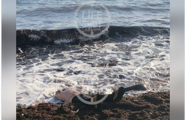 Rus sevgilisi və azyaşlı qardaşını öldürən azərbaycanlı dəniz sahilində tapıldı - FOTO