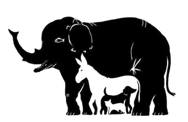 Fotoda siçan və ilanı kim görür? - DİQQƏT TESTİ