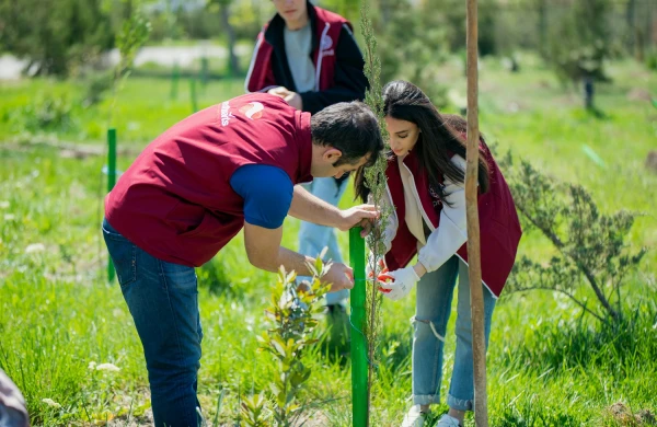 Daha bir neçə rayonda “Vətən Bağı” yaradıldı