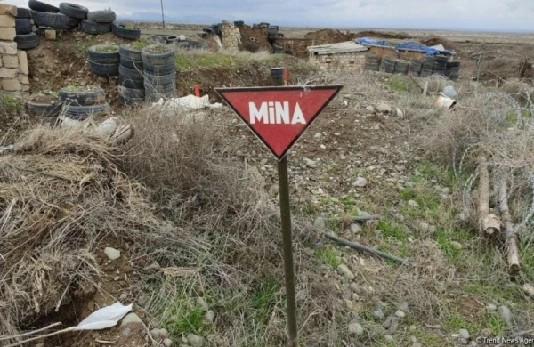 Ağdamda çoban minaya düşdü