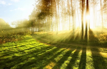 Sabah ölkədə temperatur 30 dərəcəyədək artacaq