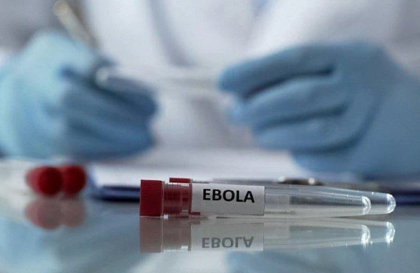“Ebola” da aktivləşdi: Ölüm sayı artır...
