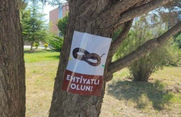 Universitetdə müzakirələrə səbəb olan ilan elanı ilə bağlı AÇIQLAMA - FOTO
