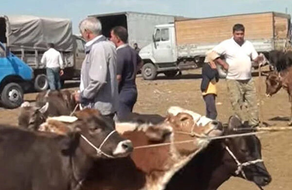 Bayramqabağı mal bazarında vəziyyət NECƏDİR?