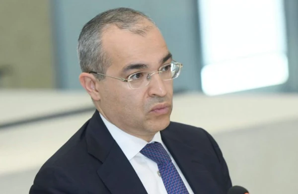 Mikayıl Cabbarova yeni vəzifə verildi - SƏRƏNCAM
