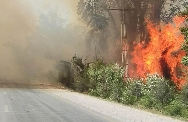 Xaçmazdakı yanğın nəzarətə götürülüb - YENİLƏNİB - VİDEO - FOTO