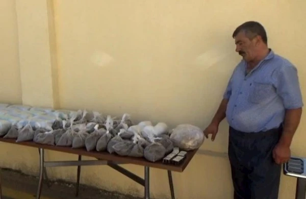 Yevlax sakinindən 78 kq narkotik götürüldü - Video