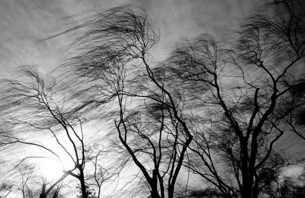 SON DƏQİQƏ! Milli Hidrometeorologiya Xidməti XƏBƏRDARLIQ YAYDI