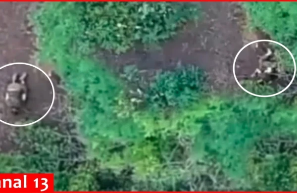 Dron səngərdə gizlənən rusları belə məhv etdi - VİDEO