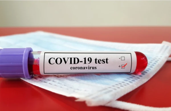 Şad xəbər: Koronavirus bitir