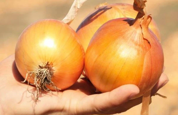 Yatmazdan əvvəl bir baş soğan yeyin&nbsp;