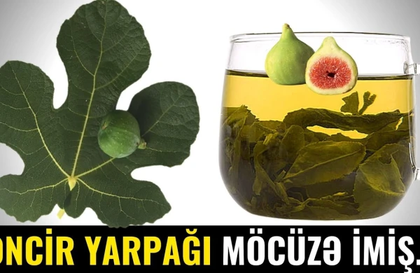 Əncir Yarpağını Qaynadıb İçin - Görün nəyin  DƏRMANI İMİŞ