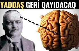 BEYİN GÜCÜNÜ Artıran 10 Vərdiş - MÜTLƏQ OXUYUN!