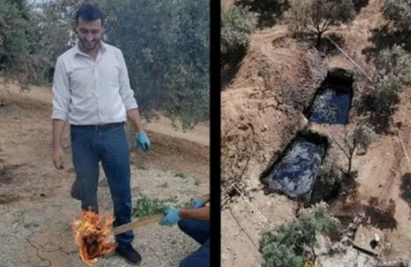 Zeytun bağından neft çıxdı: 50 milyon dollardan İMTİNA ETDİ - VİDEO