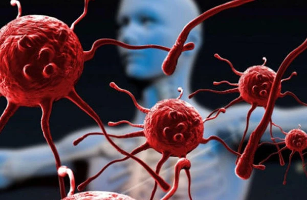 İnsan sağlamlığına faydalı 5 virus