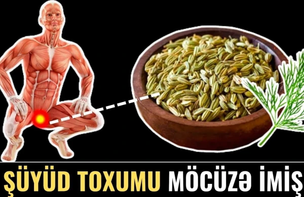 Bir Qaşıq Şüyüd Toxumu SİZİ DİRİLDƏCƏK! - Sovet Resepti