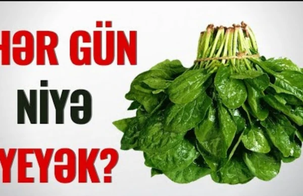 Faydasını Biləndən Sonra Hər Gün SUYUNU İÇƏCƏKSİNİZ!