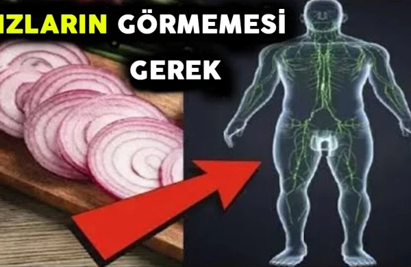 Hər Gün 1 SOĞAN YEYİN! - Görün Sizə Nə Edəcək...